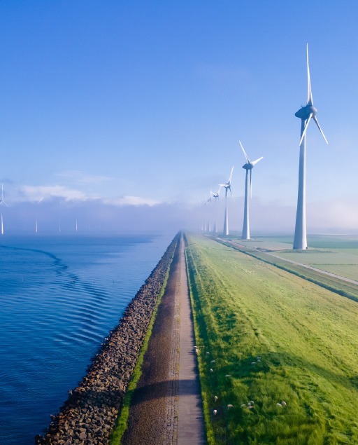 Sustainability